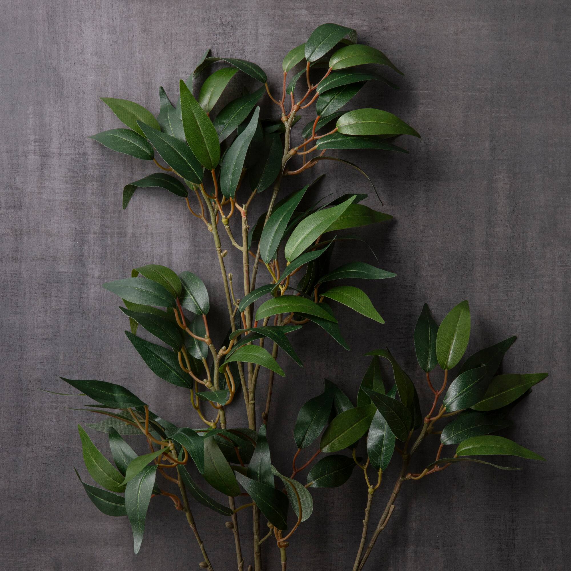 12 Pack: Green Osmanthus Stem by Ashland®